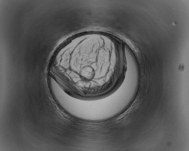 X0000099951264200806201305