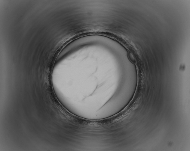 X0000099951265200806201305