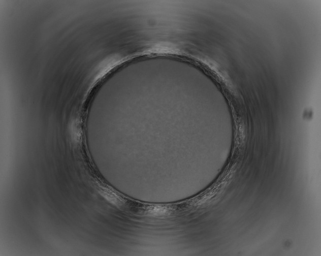 X0000099951266200806201305