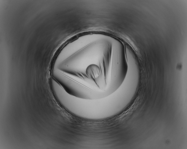 X0000099951268200806201305