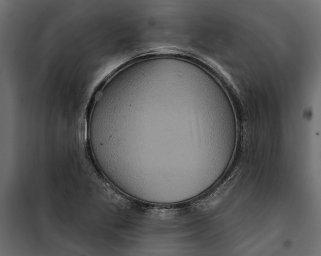 X0000099951269200806201305