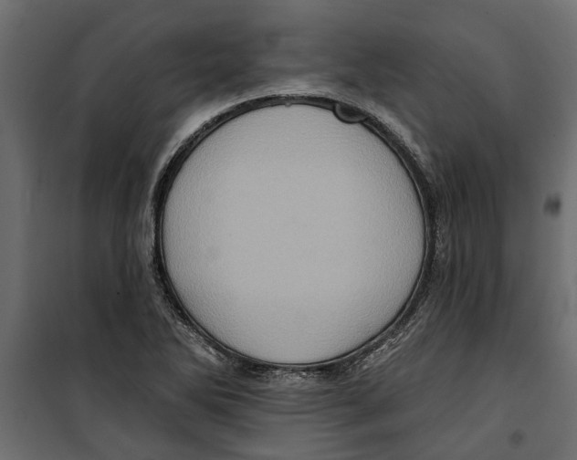 X0000099951270200806201305