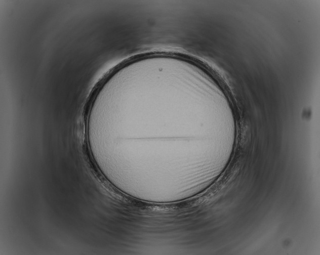 X0000099951271200806201305