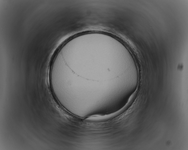 X0000099951272200806201305