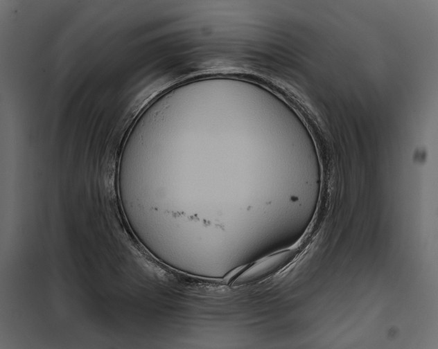 X0000099951273200806201304