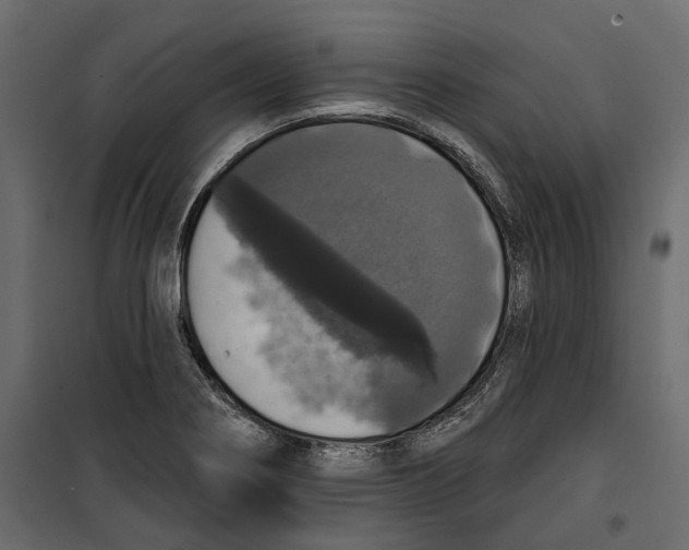 X0000099951274200806201304