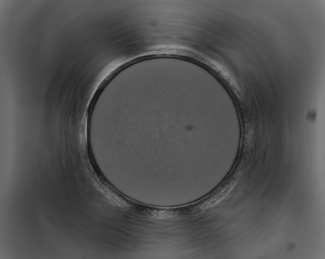 X0000099951275200806201304