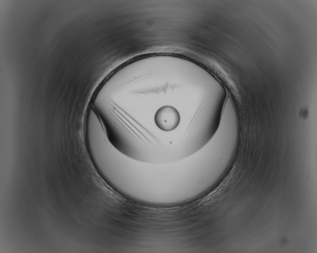 X0000099951276200806201304