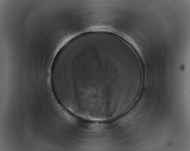 X0000099951277200806201304