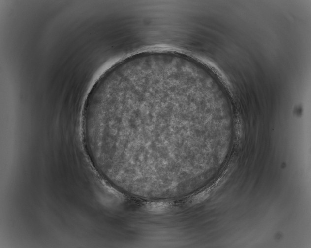 X0000099951278200806201304