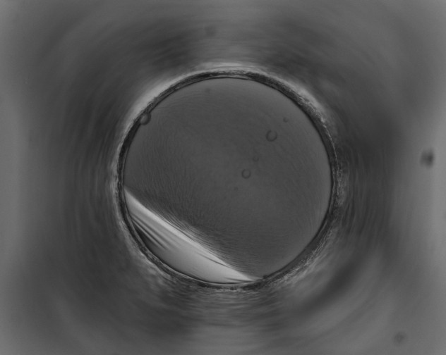 X0000099951279200806201304