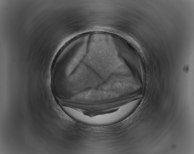 X0000099951280200806201304