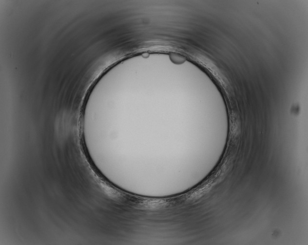 X0000099951282200806201304