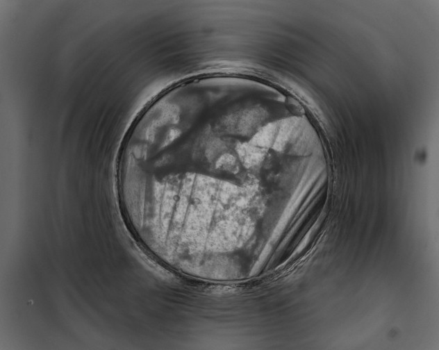 X0000099951283200806201304