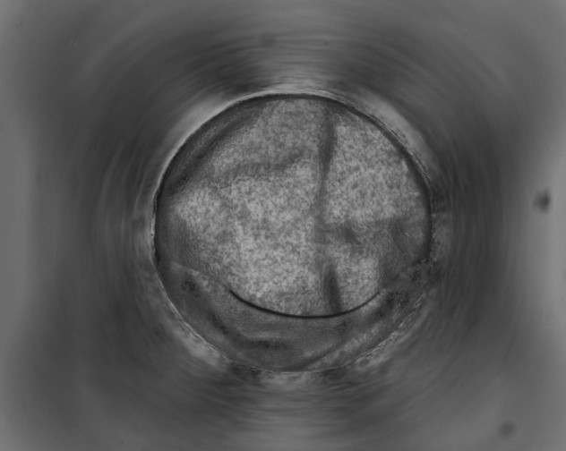 X0000099951284200806201304