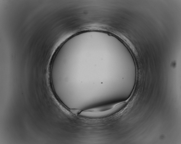 X0000099951285200806201304