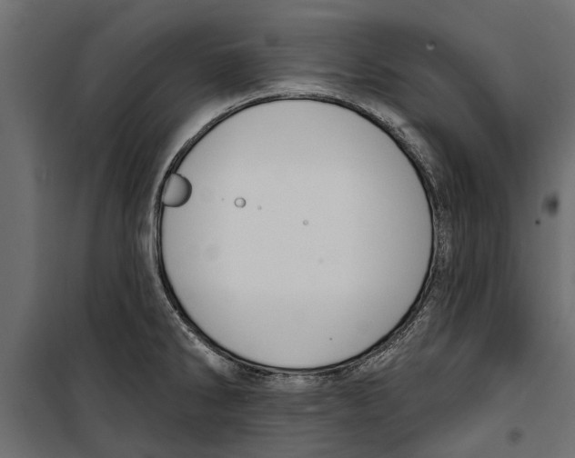 X0000099951286200806201304
