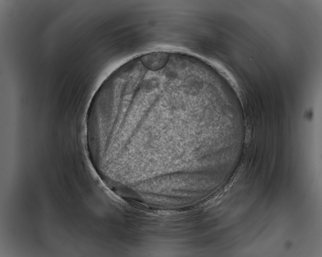 X0000099951287200806201304