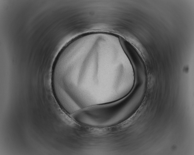 X0000099951288200806201304