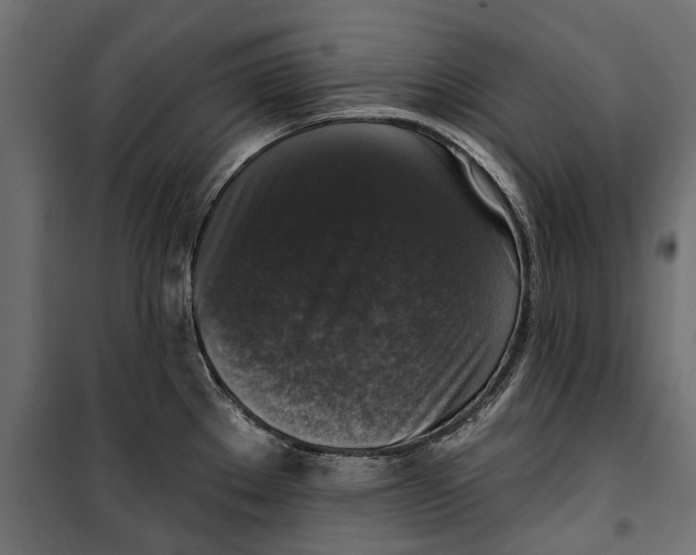 X0000099951289200806201304