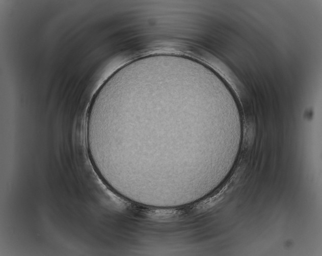 X0000099951290200806201304