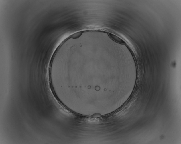 X0000099951291200806201304