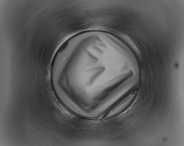X0000099951292200806201304
