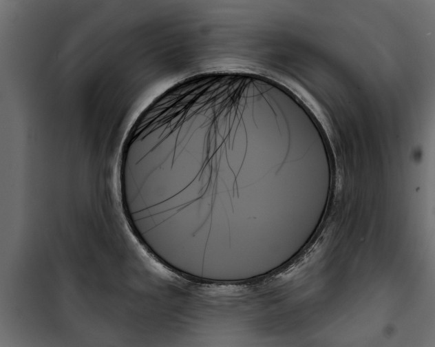 X0000099951293200806201304