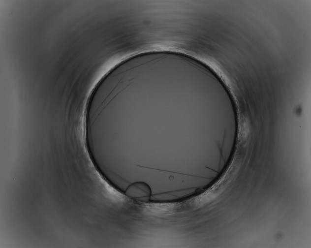 X0000099951294200806201304