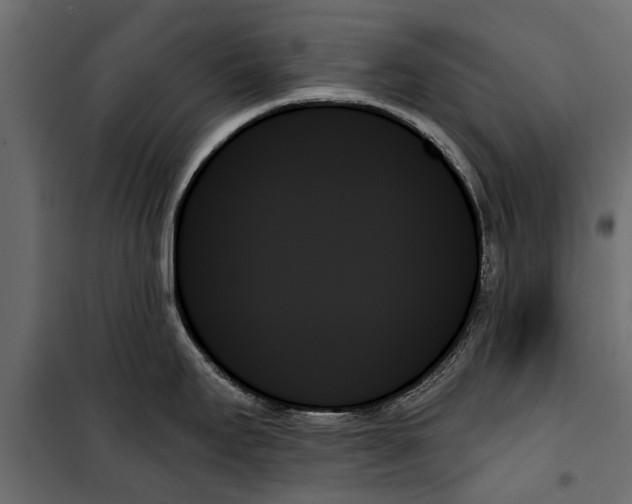 X0000099951295200806201304