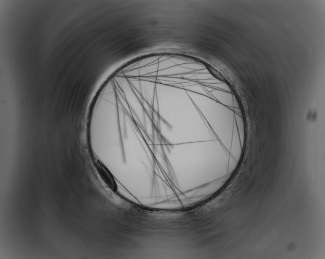 X0000099951296200806201304