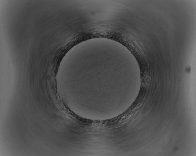 X0000099951297200806201303