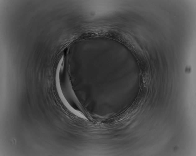 X0000099951298200806201303