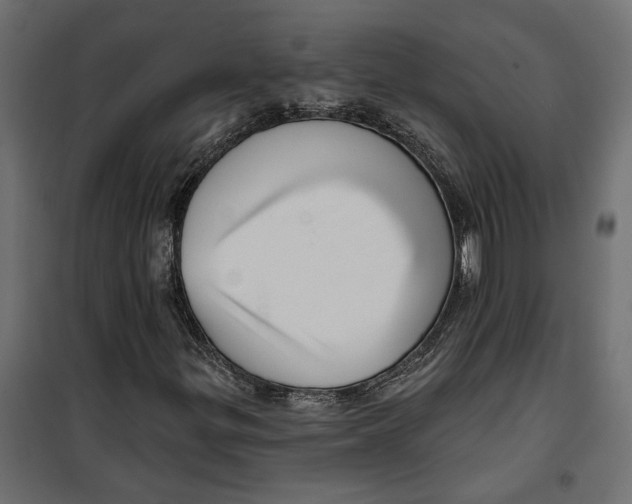 X0000099951299200806201303