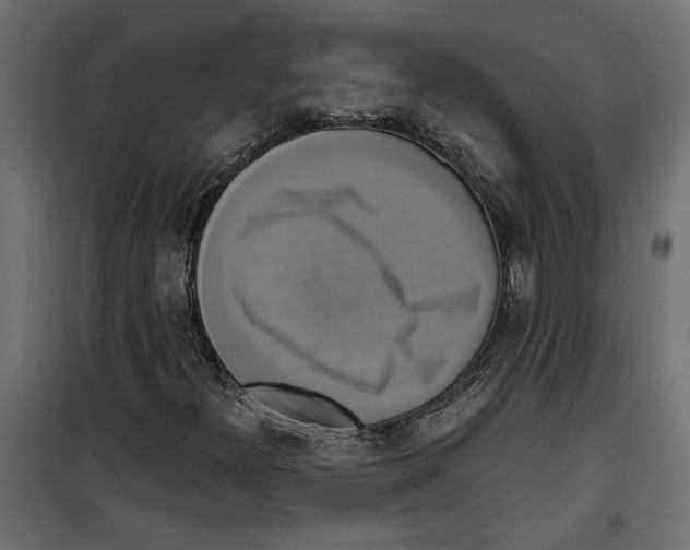 X0000099951300200806201303