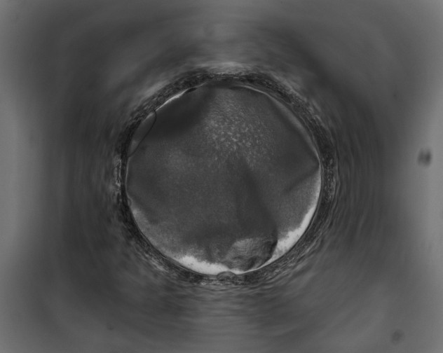 X0000099951301200806201303