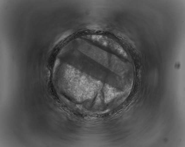 X0000099951302200806201303