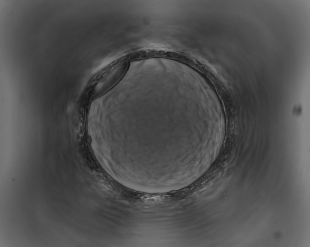 X0000099951303200806201303