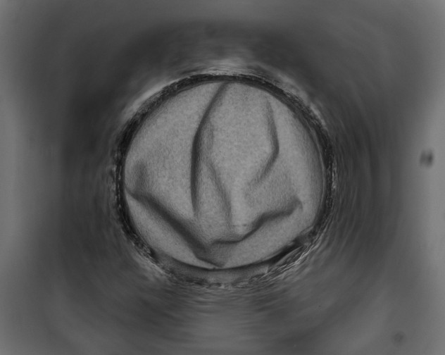 X0000099951304200806201303