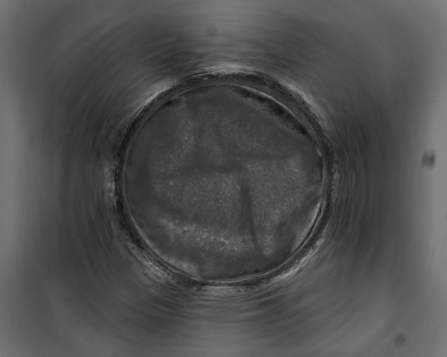 X0000099951305200806201303