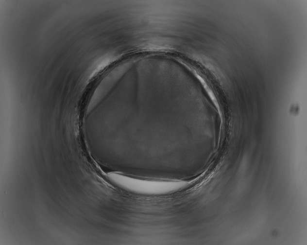 X0000099951306200806201303