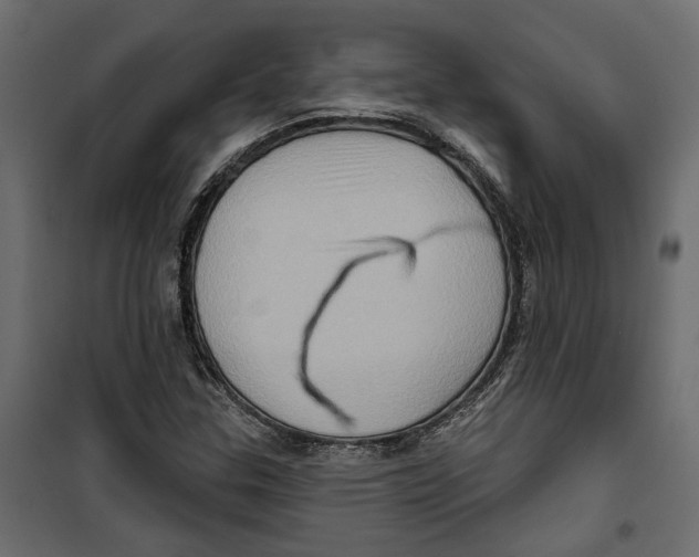 X0000099951307200806201303