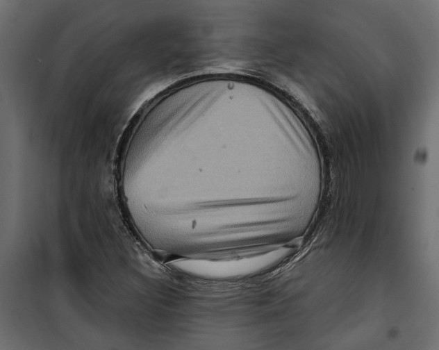 X0000099951308200806201303