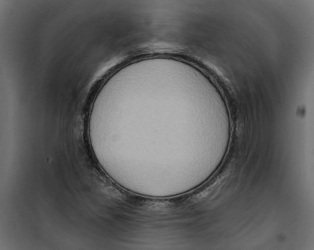 X0000099951309200806201303