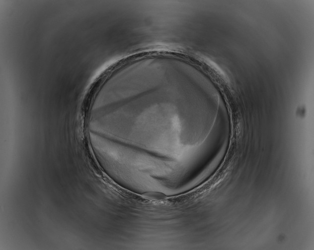 X0000099951310200806201304
