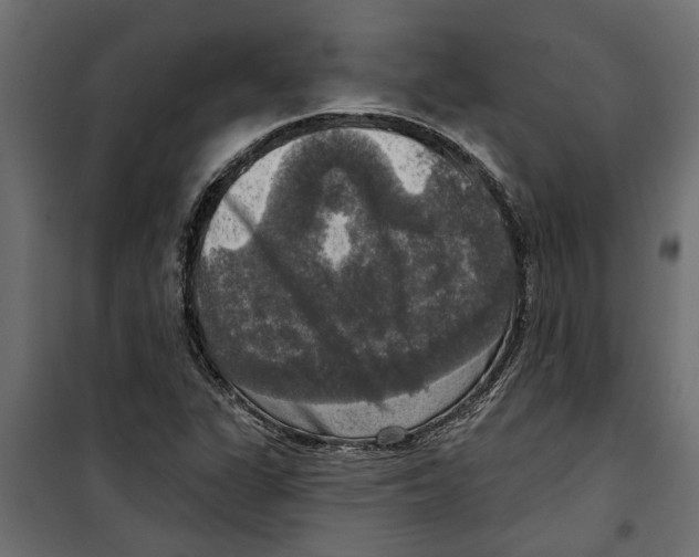 X0000099951311200806201304