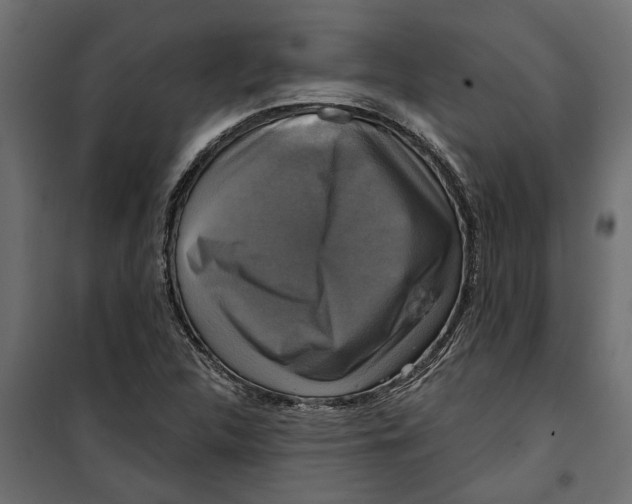X0000099951312200806201304