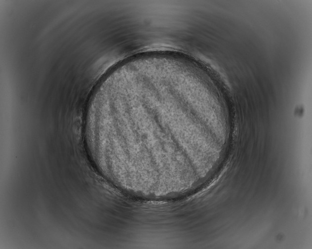 X0000099951313200806201304
