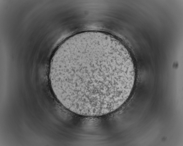 X0000099951314200806201304