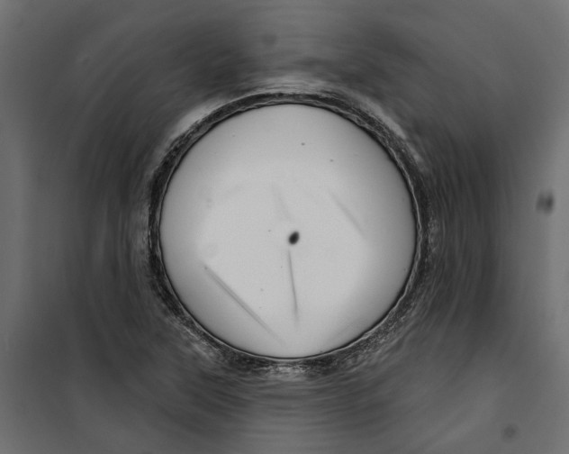 X0000099951315200806201304